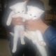 Persian Kittens for sale in Rawalpindi/Islamabad