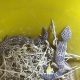 leopard geckos for sale pair