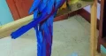 macaw talking parrot for sale