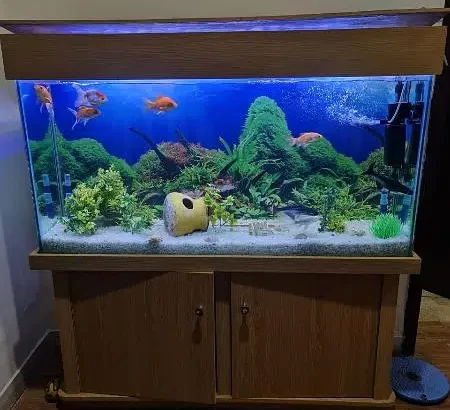 Fish Aquarium Best for hotels and house