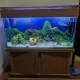 Fish Aquarium Best for hotels and house