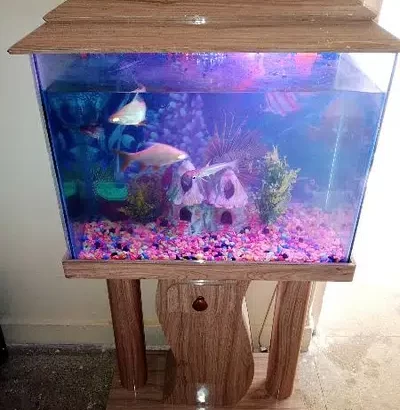 COMPLETE AQUARIUM WITH ACCESSORIES AND FISHES URGE