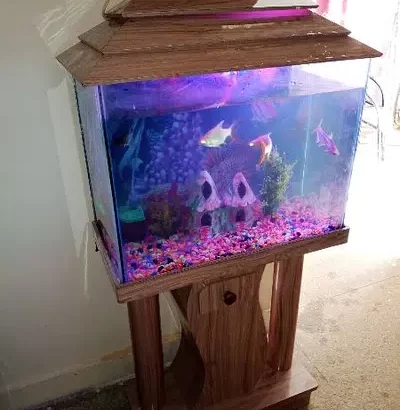 COMPLETE AQUARIUM WITH ACCESSORIES AND FISHES URGE