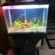 Planted tank with fishes