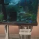 Fish Aquarium with 1 Healty Fishing Fishe Final Pr