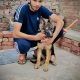 German shepherd puppies for sale pair